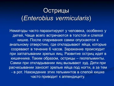 ФитоИнфо on X: \"Лук и чеснок от #остриц. Источник: https://t.co/FT58vZsqN8  https://t.co/tV42oq0kZJ\" / X