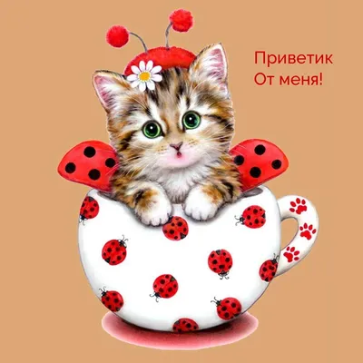 Шлю приветик - красивые картинки (78 фото)