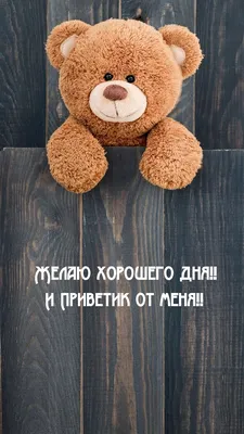 Привет от меня и хорошего дня!.