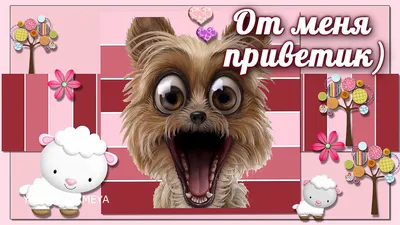 Комикс мем: \"Утренний приветик! От меня букетик\" - Комиксы -  Meme-arsenal.com