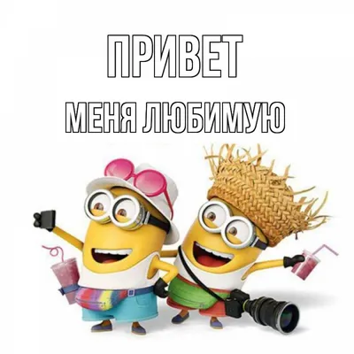вечерний привет от меня вам｜TikTok Search