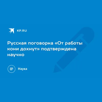 Русская поговорка «От работы кони дохнут» подтверждена научно - KP.RU