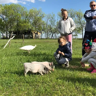 Зона отдыха на даче своими руками: дизайн на участке частного дома, фото