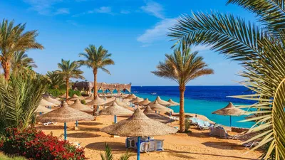 Эксперты рассказали, сколько стоит отдых в Египте в ноябрьские праздники -  РИА Новости, 12.10.2023
