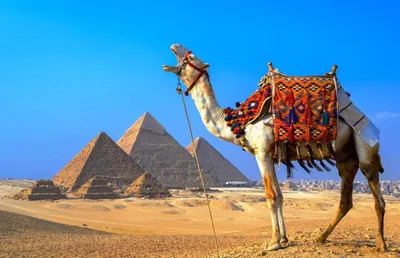 Туры в Египет • КОРАЛ ТРЕВЕЛ турагентство