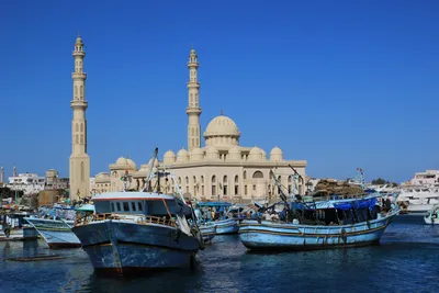 Где отдыхать в Египте: самые лучшие курорты, как до них добраться, где  остановиться и чем заняться — Яндекс Путешествия
