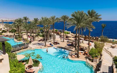 Отдых в Египте: рекомендации по выбору тура | Маркетинг и продажи