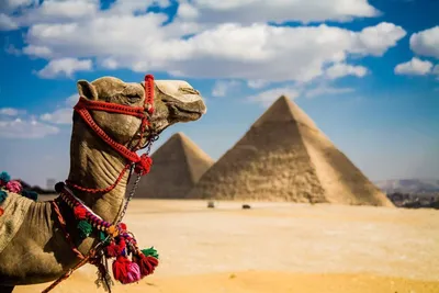 Туры в Египет | Турагентство Колибри Ярославль