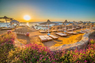 Когда лучше отдыхать в Египте?