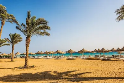 Отдых в Хургаде и экскурсии (Тур в Египет с пляжным отдыхом, с экскурсией в  Луксор, Каир и к пирамидам в Гизе, 8 дней + авиа) - Египет