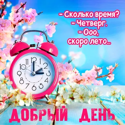 Взрослая Девочка on X: \"🍃Замечательного четверга Всем... 🌺😘  https://t.co/Q79E5mevzP\" / X