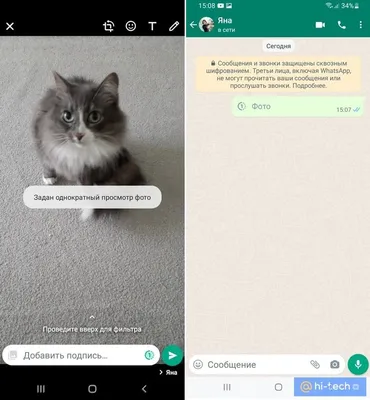 Как отправлять исчезающие файлы в WhatsApp - Hi-Tech Mail.ru