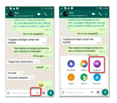 Как в WhatsApp отправить фото в оригинальном размере - Лайфхакер