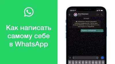 Как в Telegram: в WhatsApp можно будет отправлять видеосообщения |  informburo.kz