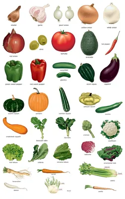 РАЗВИТИЕ РЕБЕНКА: Карточки Овощи на английском языке | Healthy food  activities, Food flashcards, Vegetables