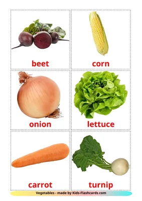 Название овощей на английском