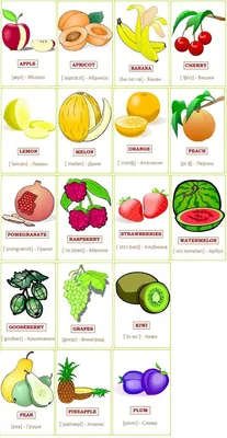 Овощи на английском языке с переводом и транскрипцией по-русски