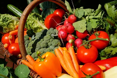Сайт Черных Марины - Фрукты и овощи на английском