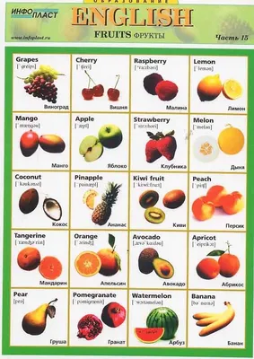 Овощи на английском с переводом, транскрипцией и произношением
