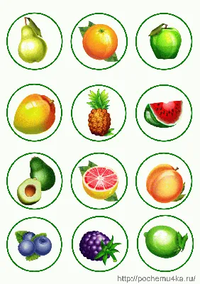 [82+] Овощи в картинках для детского сада обои