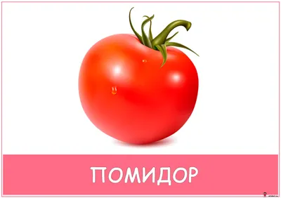 Конспект НОД по рисованию гуашью «Овощи на подносе» с детьми средней группы  (15 фото). Воспитателям детских садов, школьным учителям и педагогам -  Маам.ру