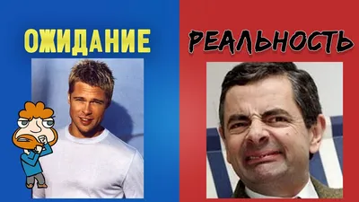 Ожидание vs Реальность | Пикабу