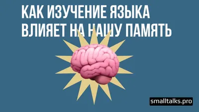 Как улучшить память: методы и лекарства для улучшения памяти ᐉ Сеть аптек  «Бажаємо здоров'я»