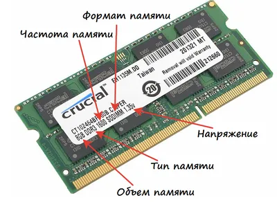 Как изучение языка влияет на нашу память