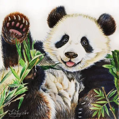 Kawaii Cute Panda With Heart Art Print by Wordsberry | Society6