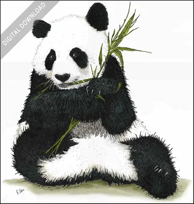 Digital art of a cute panda bear on Craiyon