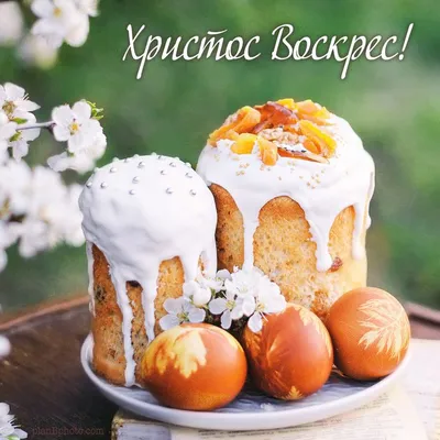 Христос Воскрес! Листівка з Великоднем з крашанками і паской | Food, Easter  time, Happy easter wishes