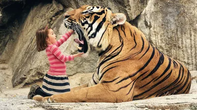 Картинки пасть, тигр, девочка, опастность, риск, шутка - обои 1366x768,  картинка №85247