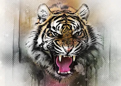 Тигр оскал рисунок (47 фото)