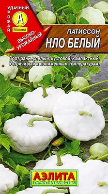 Патиссоны, что за растение на огороде — Soncesad Патиссоны, что за растение  на огороде — Soncesad