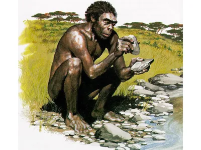 Nature (Великобритания): каким образом неандертальцы и другие первобытные  люди научились считать? (Nature, Великобритания) | 07.10.2022, ИноСМИ