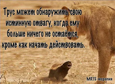 Александр в X: „А вы #оптимист или #пессимист !? https://t.co/GRUATzbfpH“ /  X