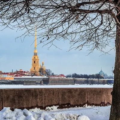 Открытка «Петропавловская крепость зимой» — купить c доставкой в  интернет-магазине Легко-Легко