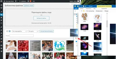 Как в вставить картинку в Wordpress, текст записи, тему и меню - Referte