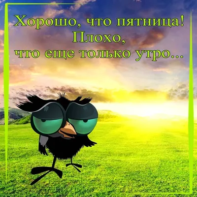 С добрым утром☀️, наши самые лучшие подписчики👫👬👭самой лучшей группы))))  улыбнитесь 😊ведь сегодня пятница, последний.. | ВКонтакте