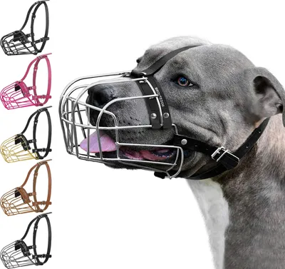 Amazon.com : BRONZEDOG Pitbull Dog Muzzle Metal Mask Amstaff Wire Basket  Pit Bull Adjustable Leather Straps for Large Dogs (Steel) : Pet Supplies