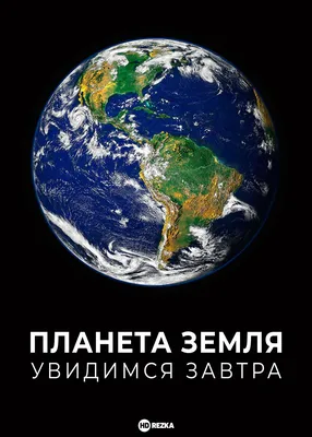 Планета Земля. Большая энциклопедия в графиках, иллюстрациях и схемах |  Банфи Кристина Мария - купить с доставкой по выгодным ценам в  интернет-магазине OZON (546960462)