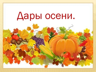 Букет «Дары осени» из кустовых роз, альстромерий, вибурнума и физалиса -  интернет-магазин «Funburg.ru»