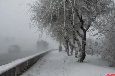 Плохая погода 27 января в 9 областях Казахстана: 27 января 2023, 11:15 |  Smi24.kz