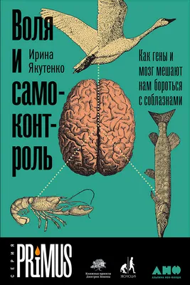 Как стать популярным, не имея таланта Хочешь быть популярным и знаменитым,  но плохие гены и . отсу / adrianagameover :: сам перевел :: знаменитость ::  популярность :: Смешные комиксы (веб-комиксы с юмором