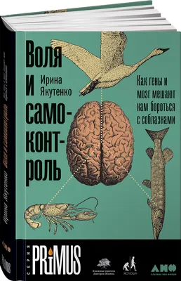 МЫ ВЫБИРАЕМ ЖИЗНЬ | ОГБПОУ \"Ивановский колледж легкой промышленности\"