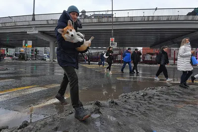 Москва. Погода. После аномальной жары ждем резкого поворота к холодам.  Новости Москвы. Погода на неделю. - Экспресс газета