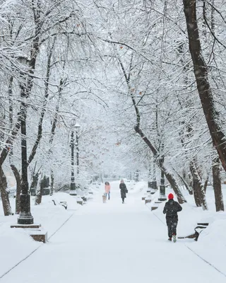 Агентство городских новостей «Москва» - Фотобанк