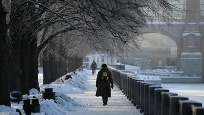 Погода на ноябрь 2023 в Москве и Московской области | KPIZ.ru