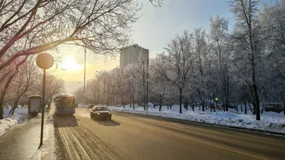 Метели, скачки температуры: погода в Москве и Петербурге в начале декабря