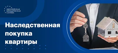 9 советов как правильно и выгодно купить квартиру: пошаговая инструкция